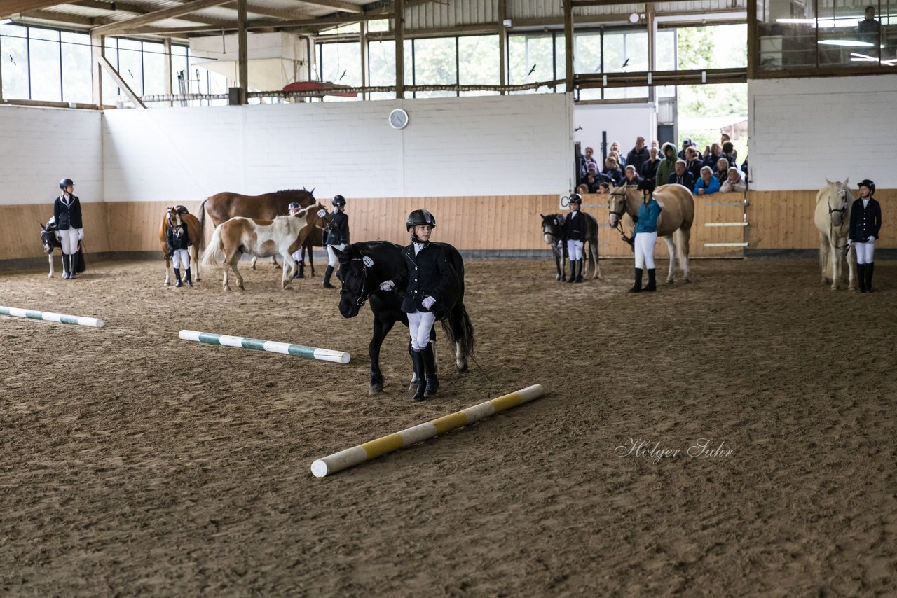 Bild 69 - Pony Akademie Turnier